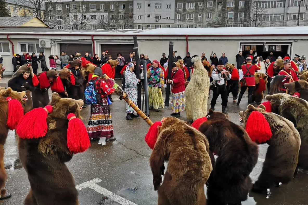 Cete de urători au umplut curtea IPJ Bacău