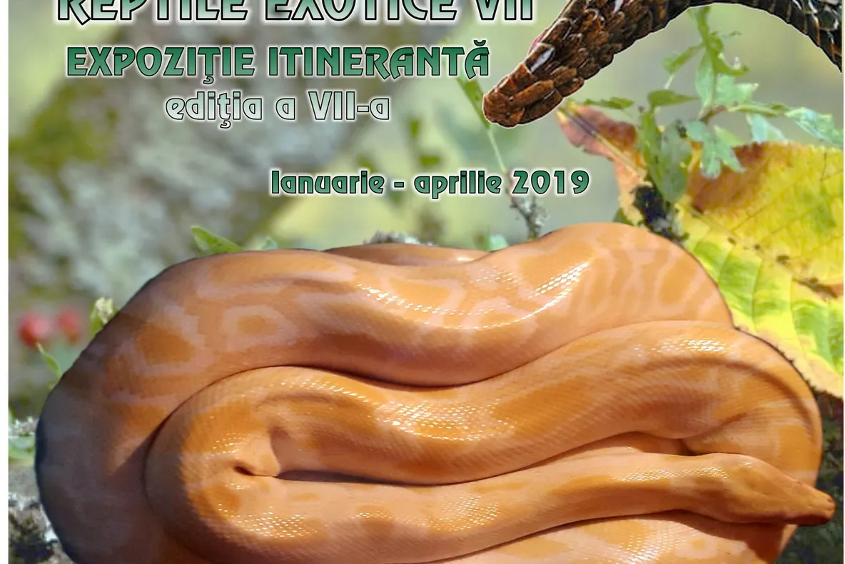 Expoziție de reptile exotice vii la Vivariu