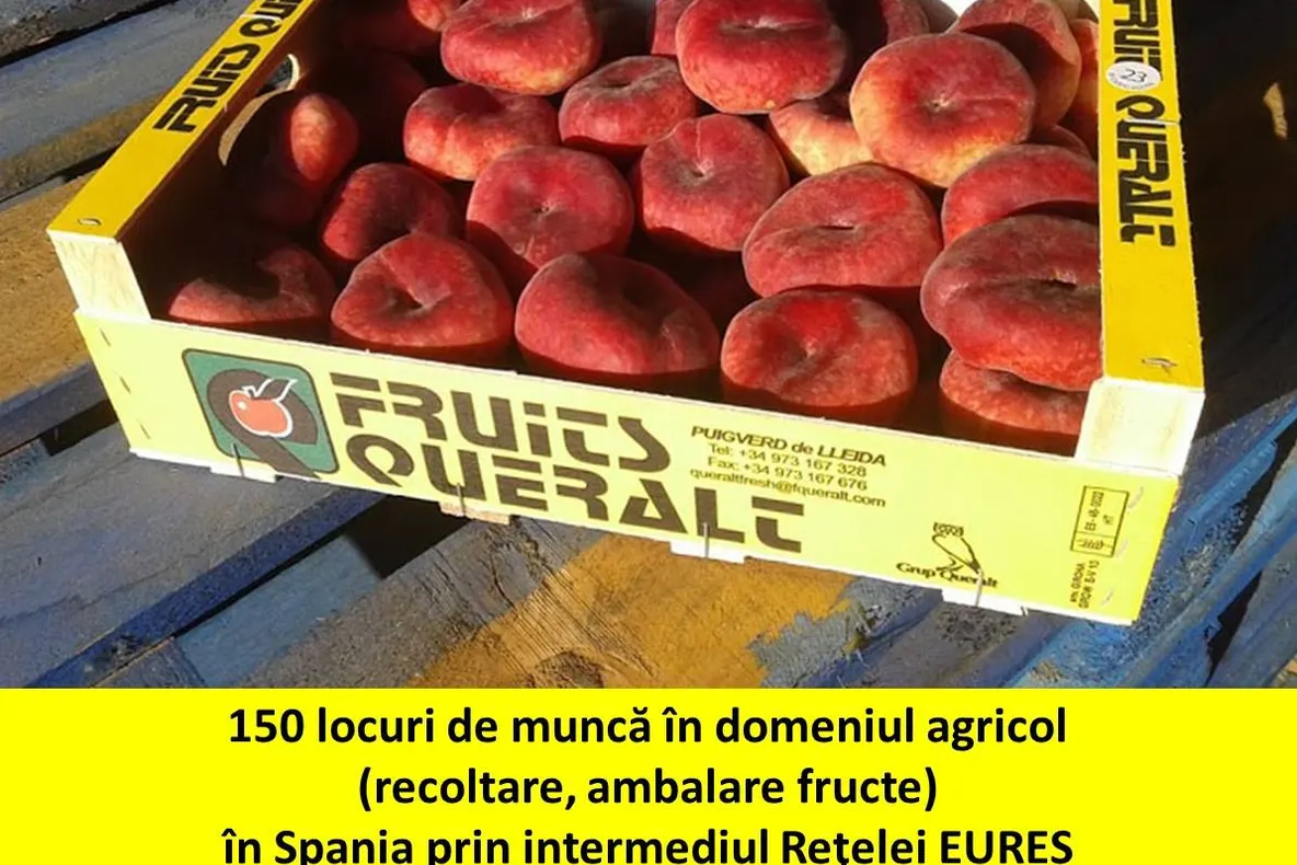 La cules de fructe în Spania. Sunt 200 de locuri disponibile