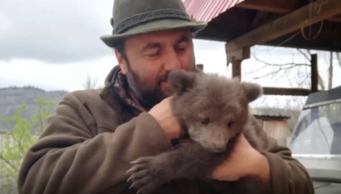 VIDEO:  Un pui de urs pierdut de mama lui, salvat din apele unui râu, pe raza Ocolului Silvic Târgu Ocna
