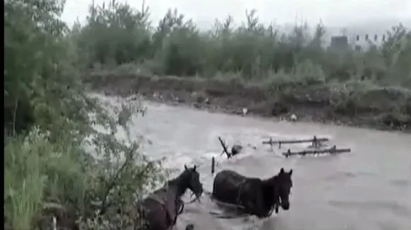 ULTIMA ORĂ: Bărbatul dispărut din Cașin a fost găsit. Din nefericire, el era mort
