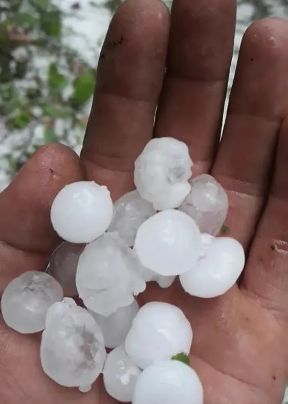 FOTO: Vreme extremă la Moinești. Soare în oraș, grindină cât oul de porumbel pe dealul din apropiere