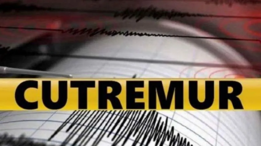 Cutremur de mică adâncime produs în județul Bacău! A fost al treilea din zonă în mai puțin de 12 ore