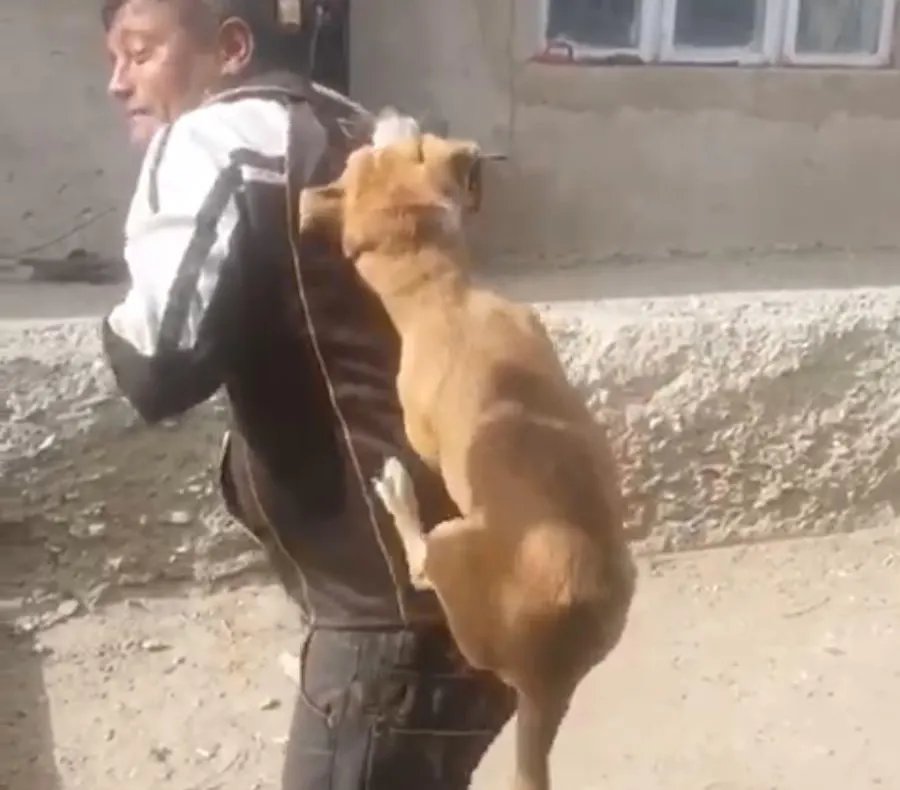 VIDEO:Dansul câinelui spânzurat la Răchitoasa. Un bărbat beat ține legat în spate un cățel și îl chinuie pe ritmul muzicii.„Lasă câinele, că are purici”, strigă o femeie