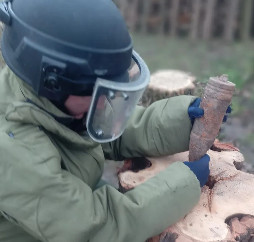 FOTO: Arbore "exploziv", descoperit la Dofteana. O bombă era înfiptă în trunchiul copacului