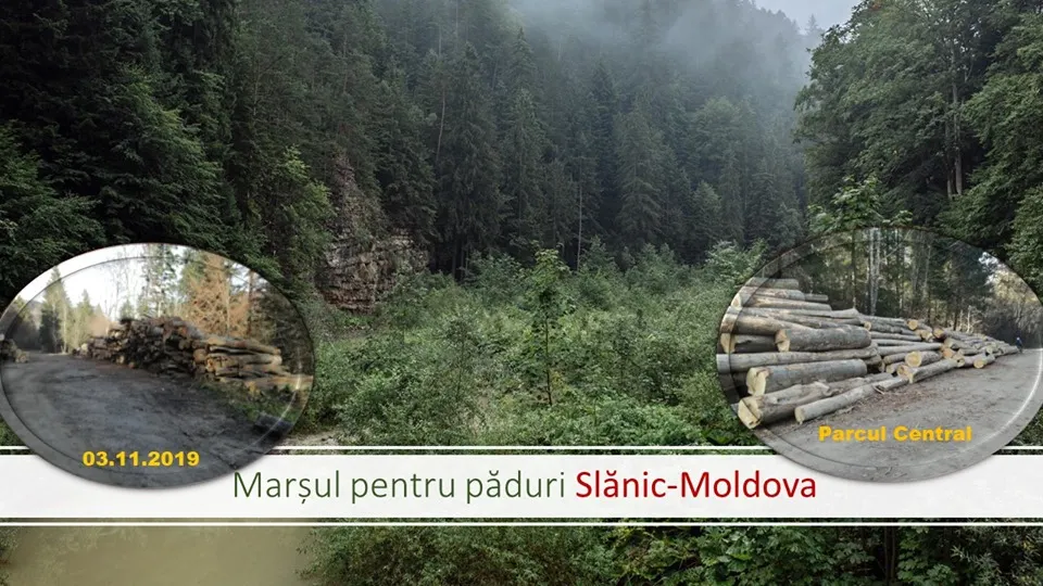 VIDEO:Astăzi, „Marșul pentru păduri” în Piața Tricolorului din Bacău și în Parcul Central din Slănic Moldova