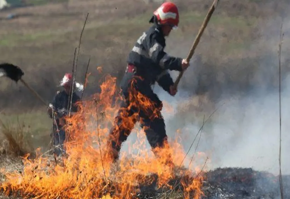 Incendiu izbucnit la vegetația uscată