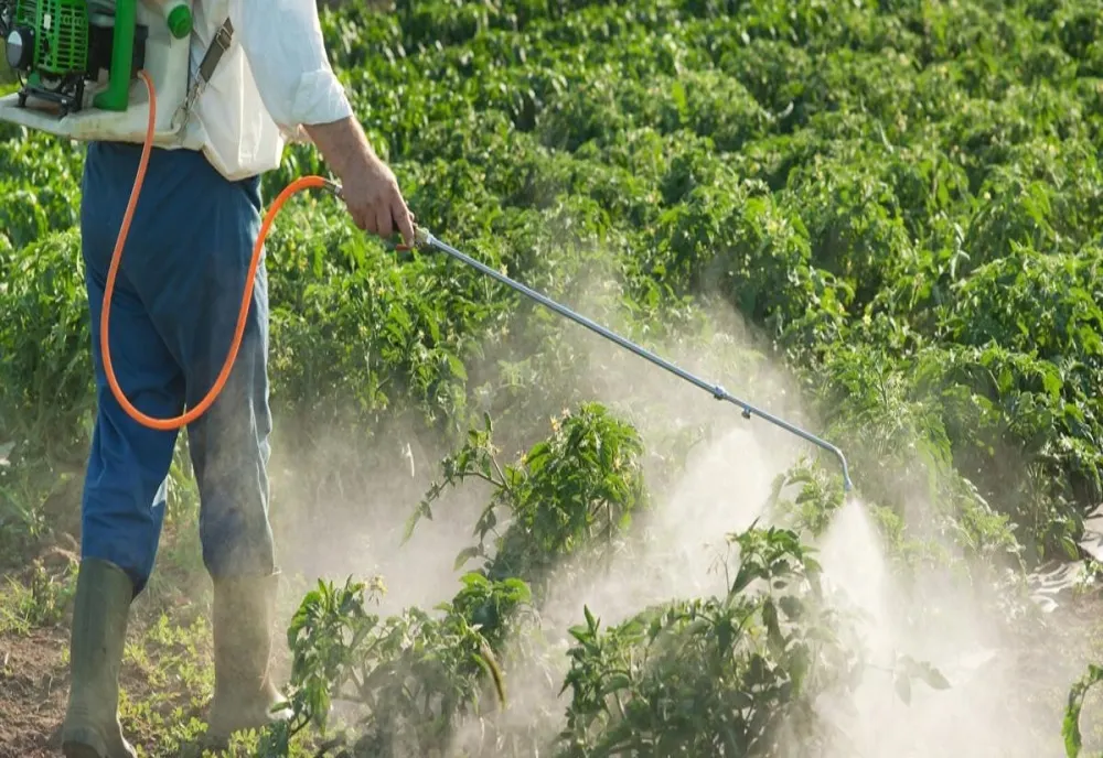 Un bărbat, cercetat de polițiștii pentru că a depozitat aproximativ 11.000 kg de produse de protecţie a plantelor fără respectarea condiţiilor legale privind protecţia mediului