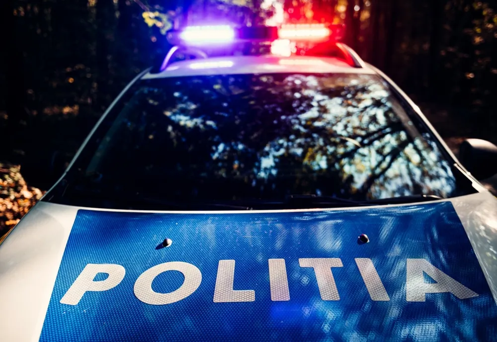 Hoți specializați în furturi de drujbe, depistați de polițiști