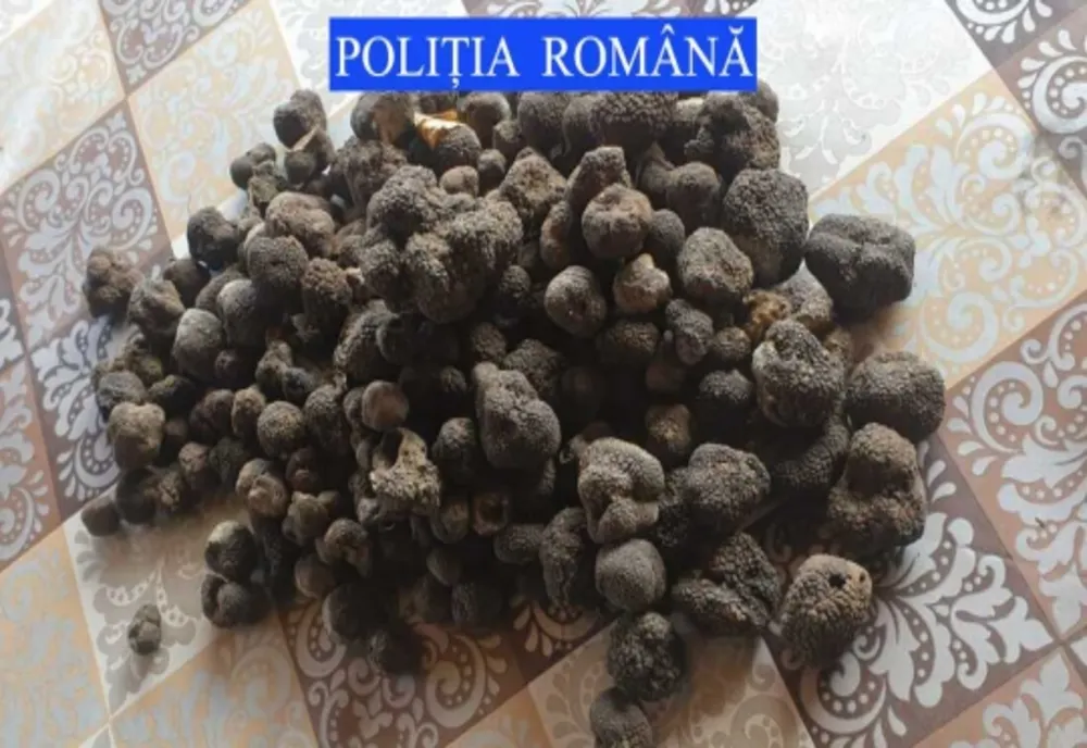 Tânăr din Bacău, prins cu 5 kg de trufe negre în mașină