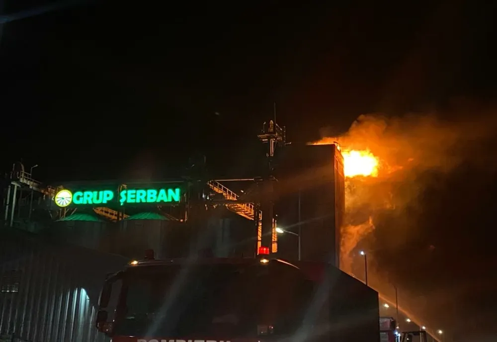 FOTO- Incendiu violent la un operator economic din Bacău-pagube însemnate