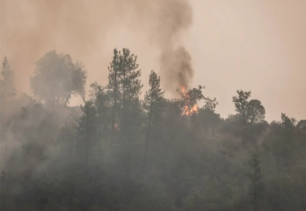 Incendiul de proporții din Bacău nu a fost stins nici după patru zile