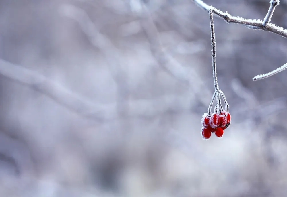 Prognoza meteo 28 ianuarie. Temperaturi de primăvară - condiții de polei