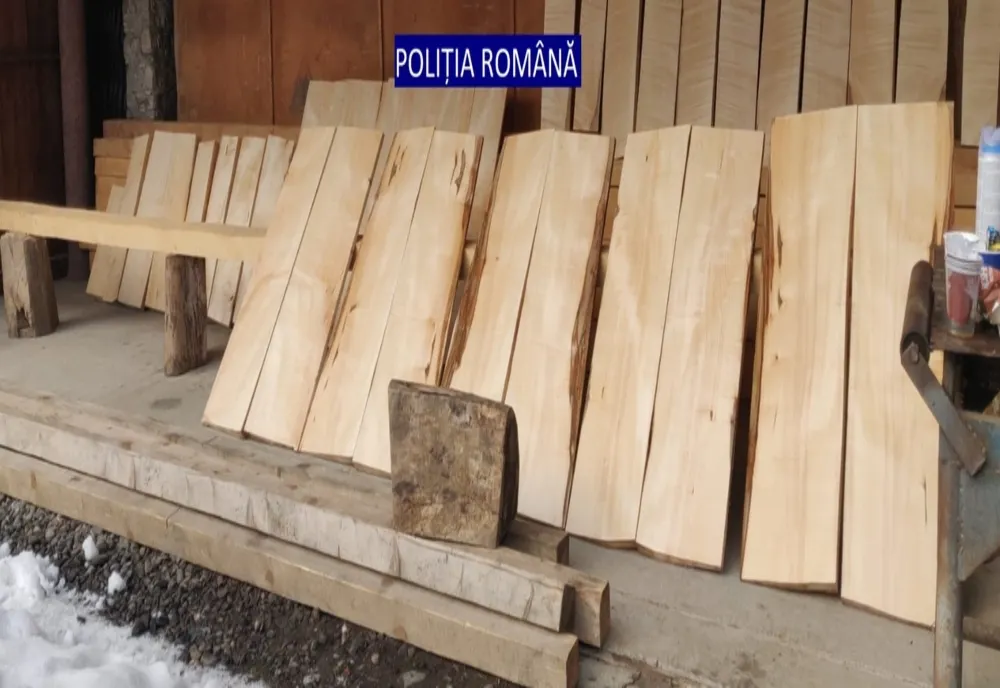 Material lemnos indisponibilizat de poliţişti în cadrul unei percheziţii domiciliare