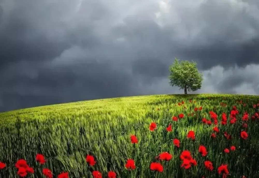 Prognoza meteo 8 iulie. România, împărțită între vijeli și caniculă - maxime de 32 de grade