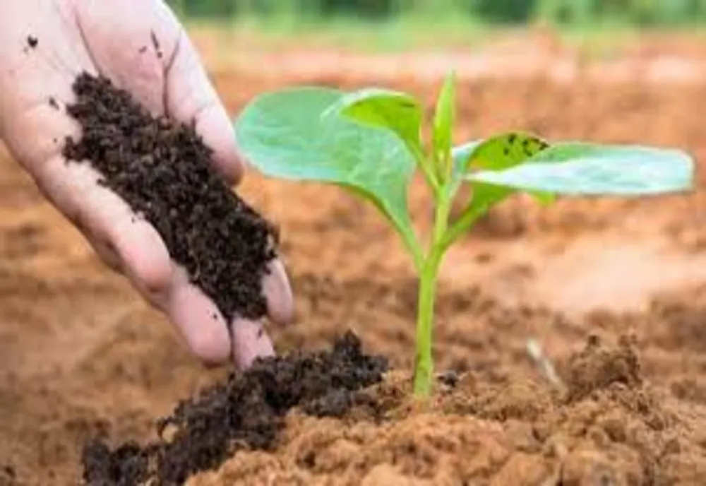 MADR: Noi norme pentru produse fertilizante comercializate în România