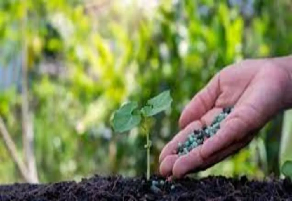 MADR lămurește cine este pasibil de pușcărie conform Ordonanței care vizează produsele de protecție a plantelor!