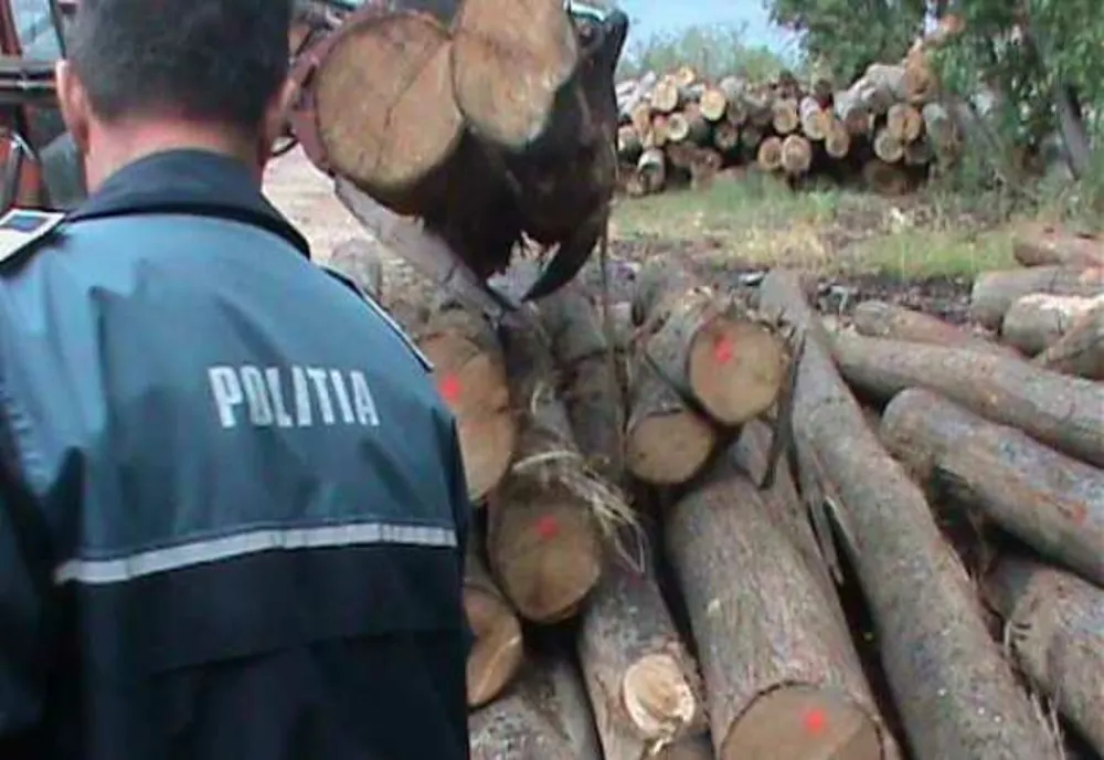 Lemne confiscate și amendă pentru bărbat care conducea o autoutilitară