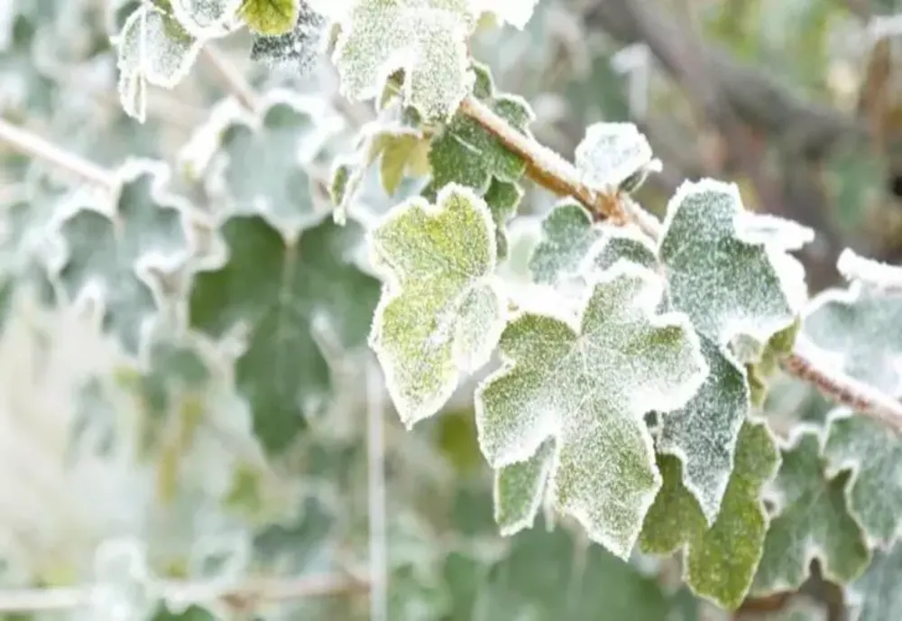 Vremea 18 martie. Temperaturi scăzute, mai ales dimineața și seara
