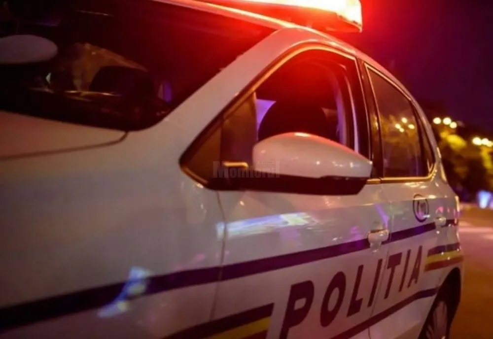 De ce surpriză au avut parte polițiștii când au oprit o autoutilitară, în toiul nopții
