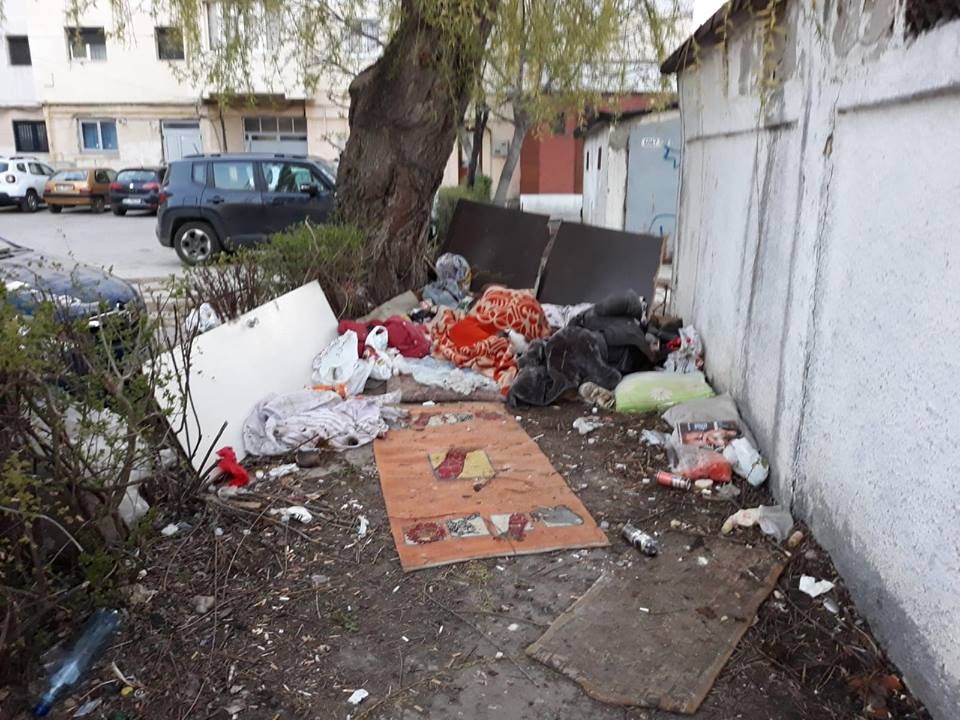 Boschetarii i-au scos pe polițiștii locali din amorțire. I-au alungat, apoi i-au numărat