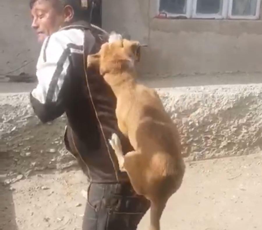 VIDEO:Dansul câinelui spânzurat la Răchitoasa. Un bărbat beat ține legat în spate un cățel și îl chinuie pe ritmul muzicii.„Lasă câinele, că are purici”, strigă o femeie