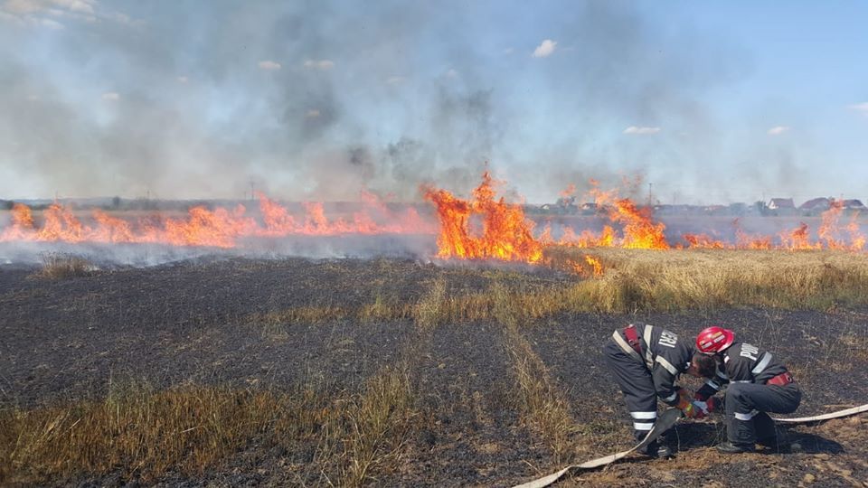 11 incendii de vegetație uscată s-au manifestat în ultimele 24 de ore în Județul Bacău