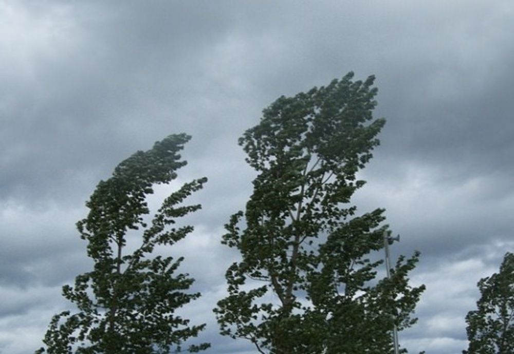  Alertă meteo: Cod galben de VÂNT, temperaturile scad accentuat
