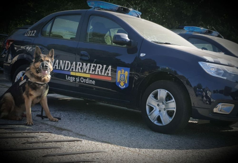 Mai mulți jandarmi în stradă, în perioada minivacanței
