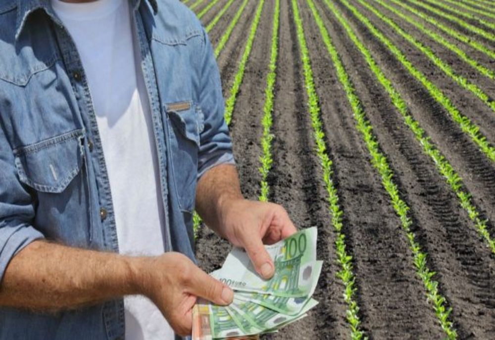 Peste 90 de milioane de euro vor ajunge, în următoarea perioadă, în conturile fermierilor 