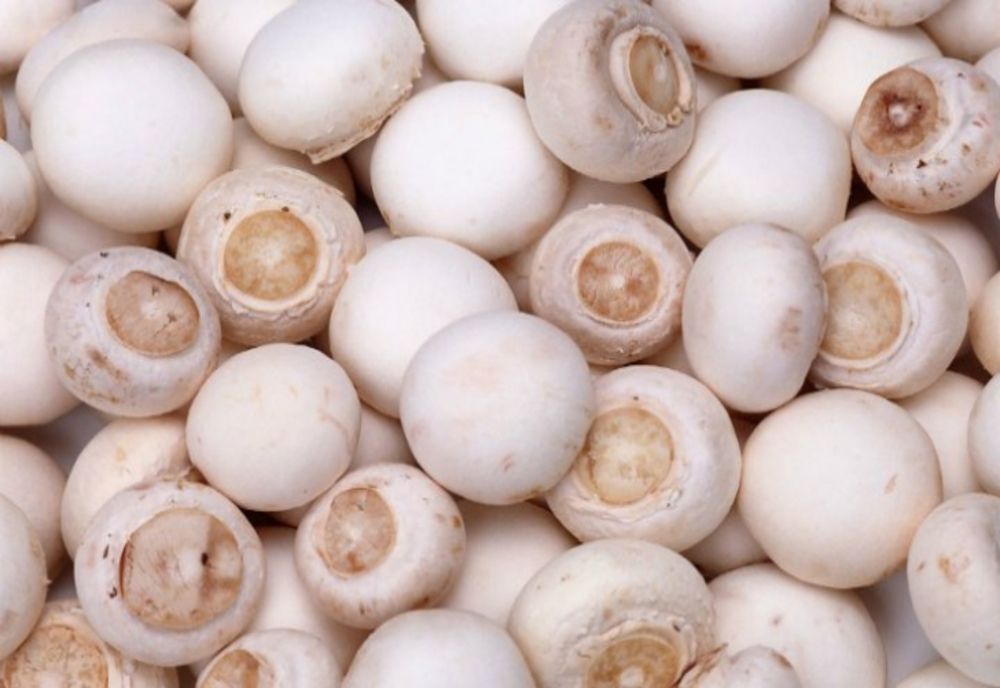 Adevărul nespus despre ciupercile Champignon din supermarketuri. Le consumi fără să ştii asta