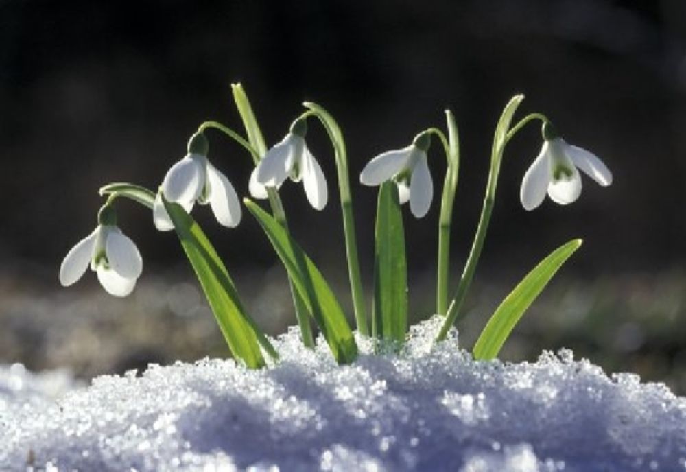 Vremea 16 februarie - Temperaturile în creștere. Unde va fi cel mai cald