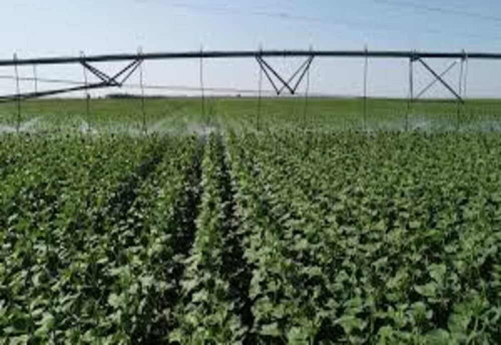 Ministerul Agriculturii anunţă că infrastructura de irigaţii este pregătită pentru funcţionare în condiţii optime. Care este suprafaţa potenţial irigabilă  