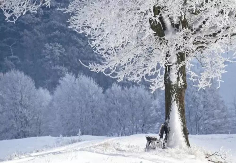 Vom avea sau nu zăpadă de Crăciun? Ce spune meteorologul ANM