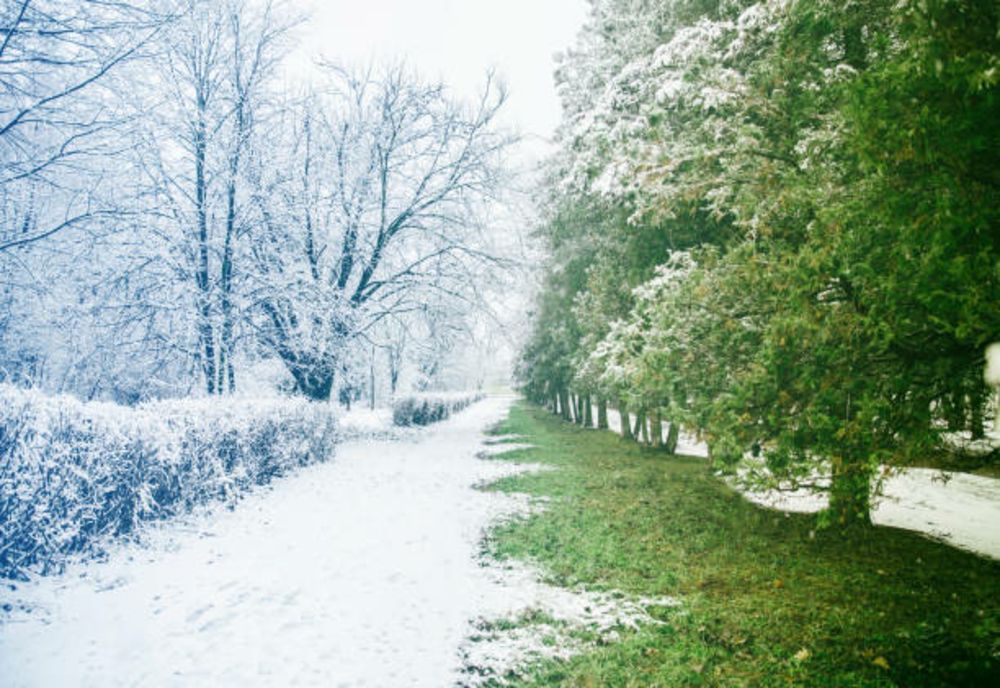 Meteorolog ANM: "Temperaturile se vor uniformiza în toată țara". Valul de frig ajunge și în sud: când vine primăvara