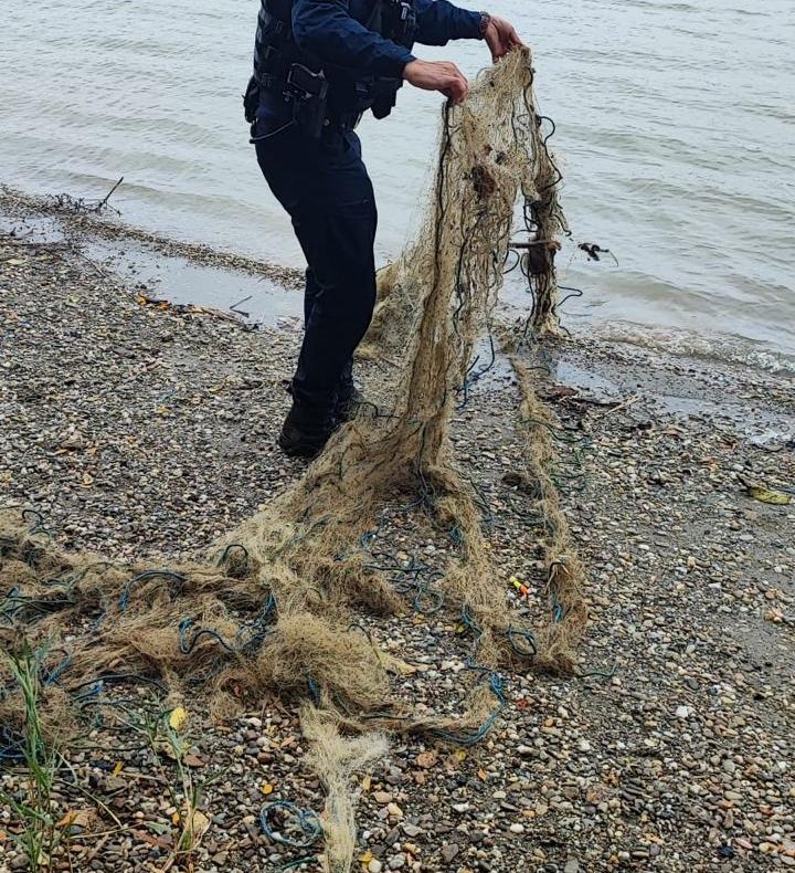 Peste 20 de kilograme de pește, eliberate în mediul natural de jandarmii băcăuani