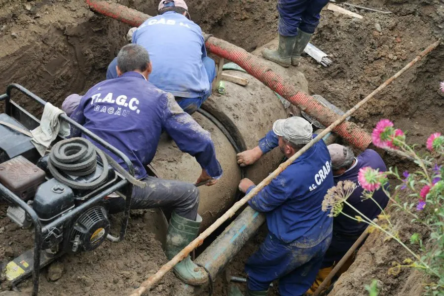 avarie conduceta bacau