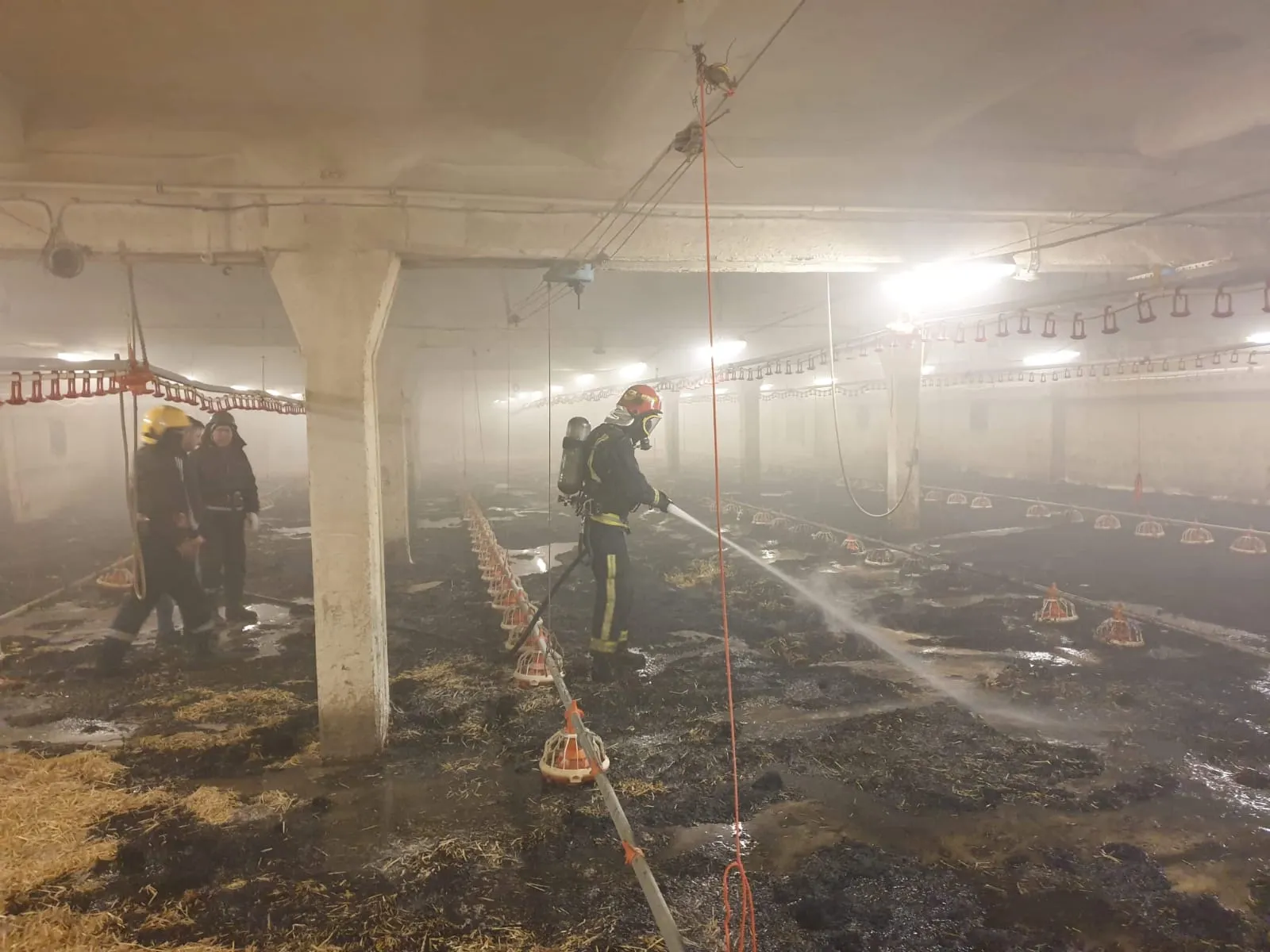 incendiu ferma pui 3