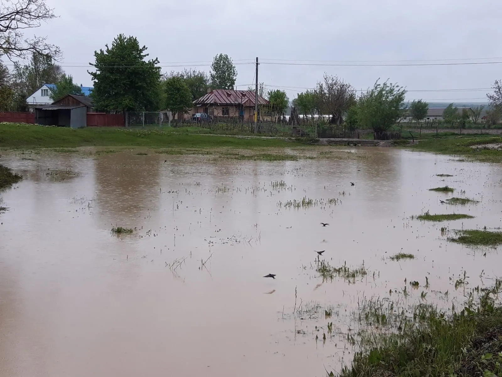 inundatii 3