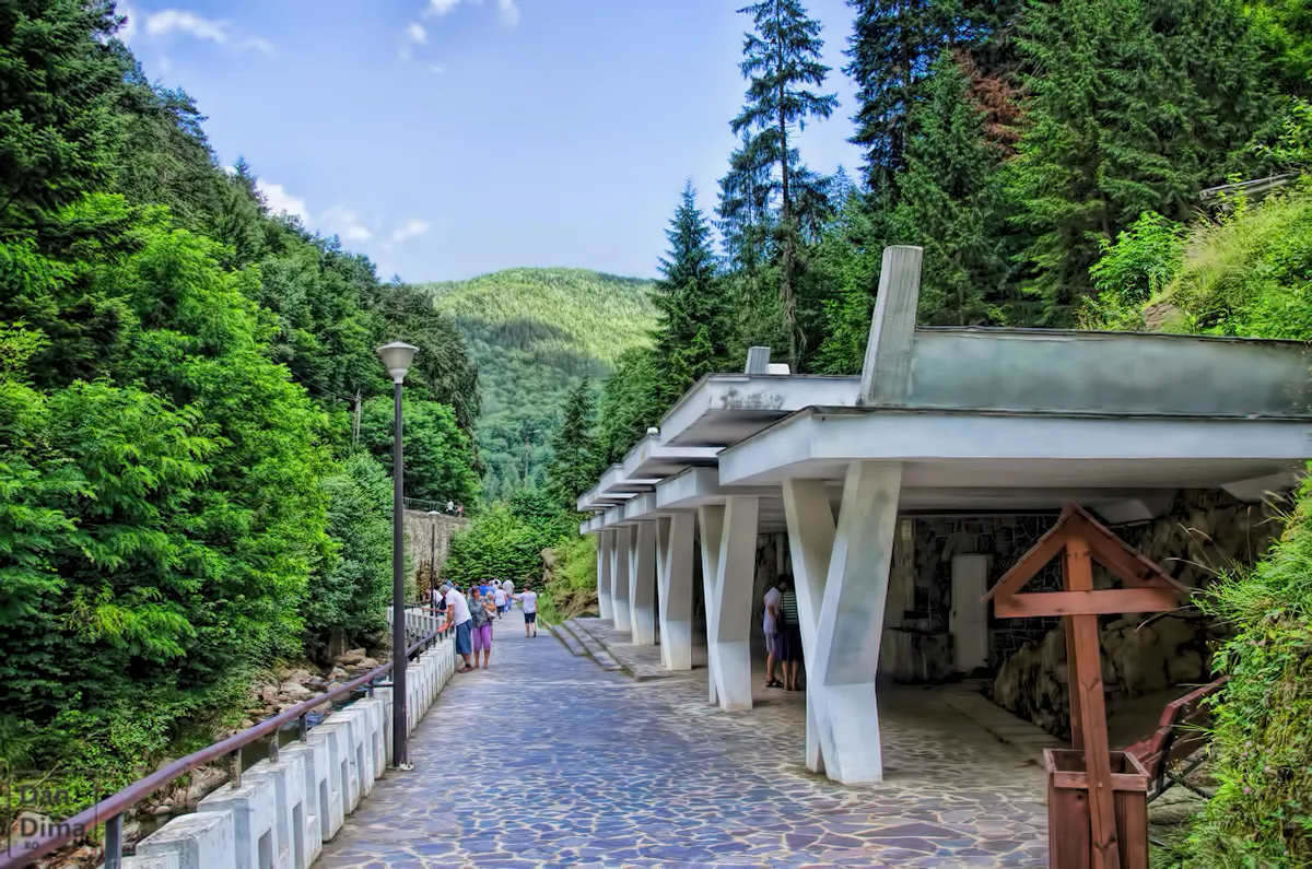 izvoare