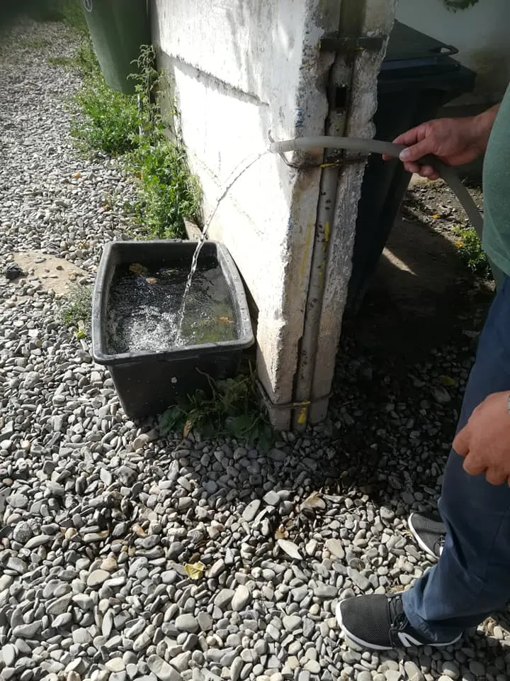 rezerva de apa caini 3
