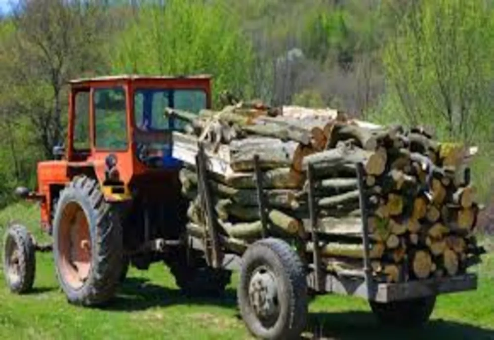 Amenzi de peste 40.000 de lei și material lemnos confiscat
