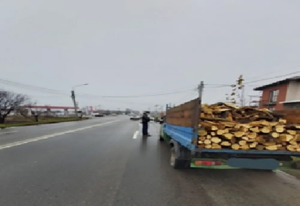 A transportat material lemnos fără documente              