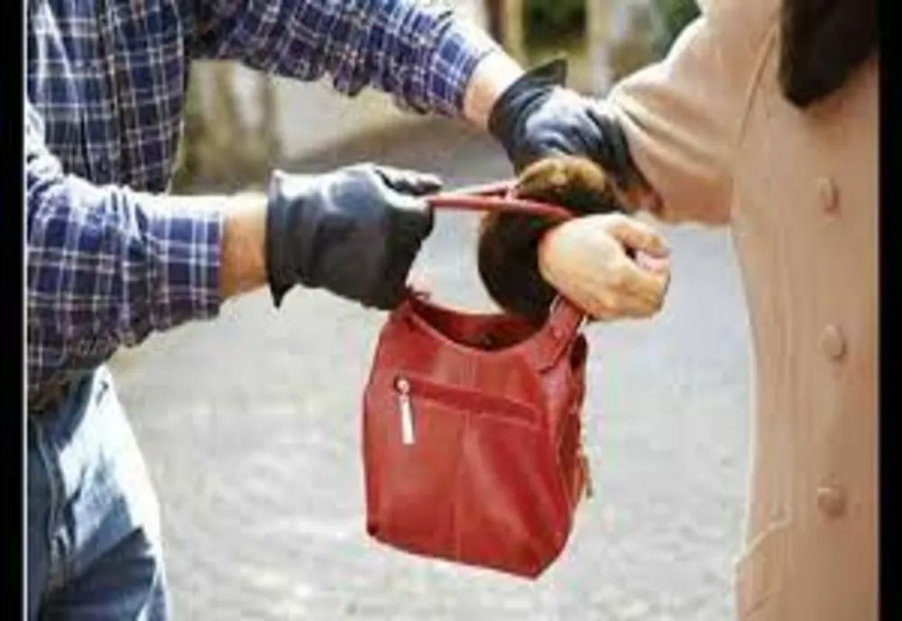 Poșetă smulsă din brațele unei femei de 67 de ani, din Bacău. Cine sunt făptașii