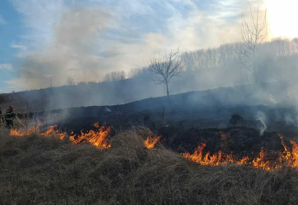 7 incendii de vegetație uscată în ultimele 24 de ore