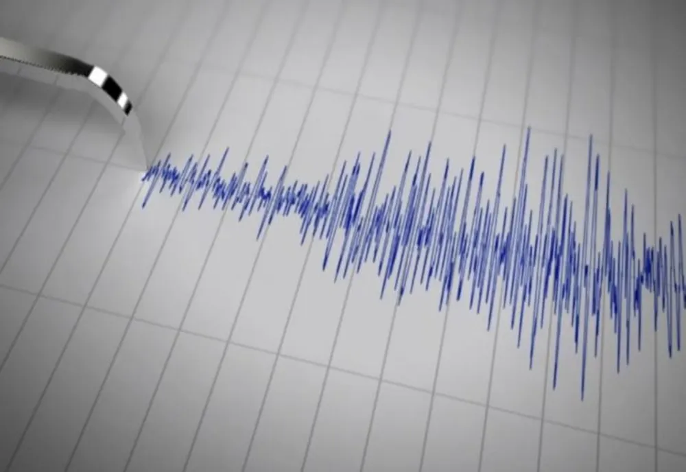 Cutremur, joi dimineața, în România - activitate seismică intensă, în ultimele zile
