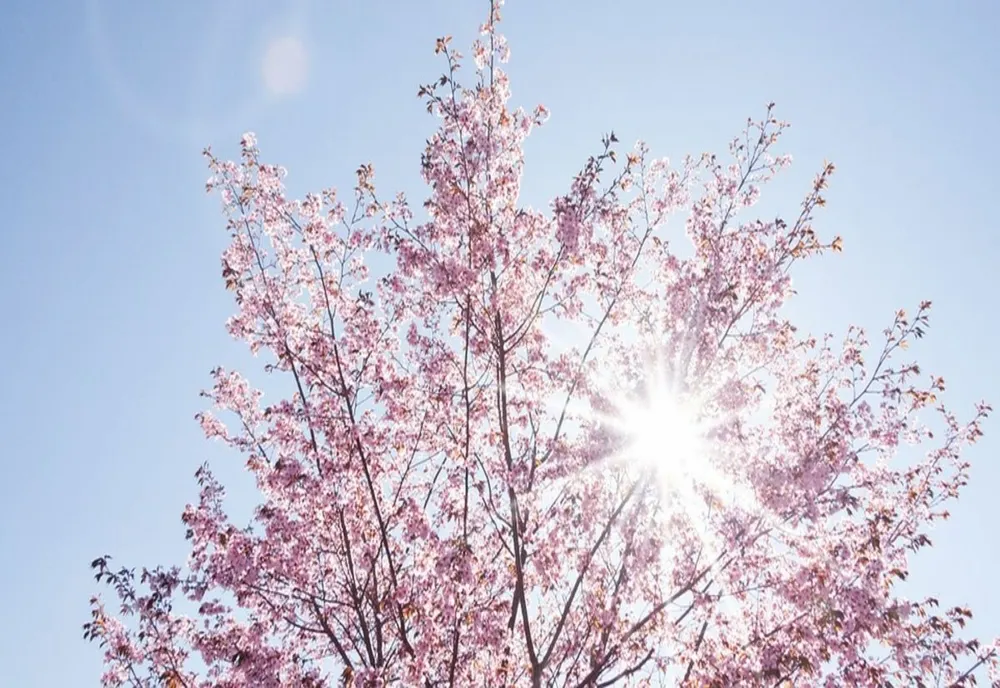 Temperaturi în creştere în cea mai mare parte a ţării astăzi