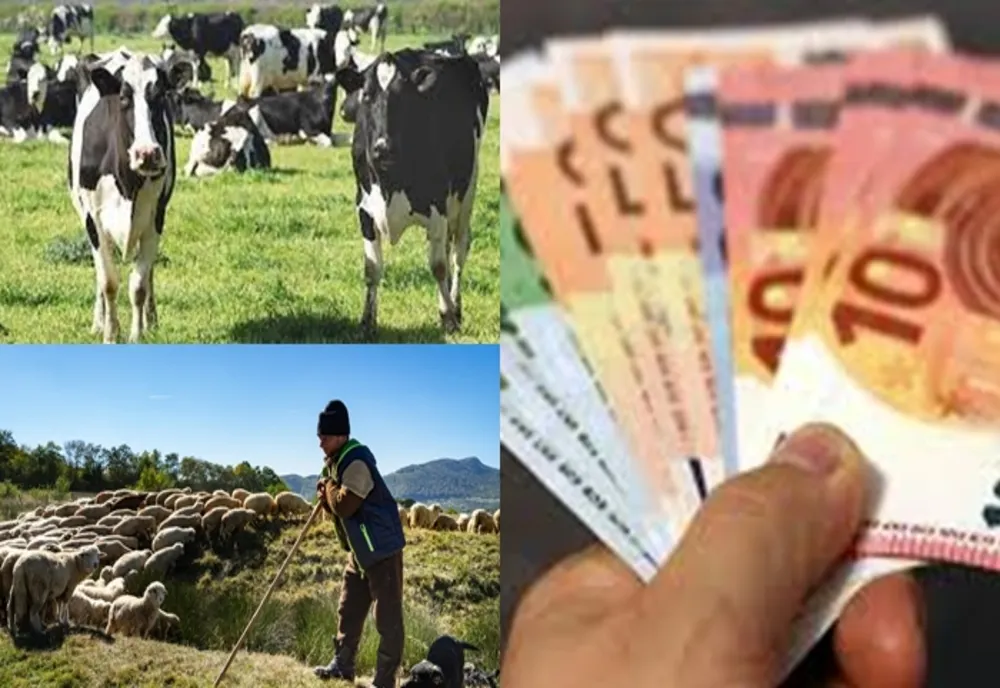 APIA: AJUTOR DE PESTE 39,7 MILIOANE LEI PENTRU CRESCĂTORII DE ANIMALE