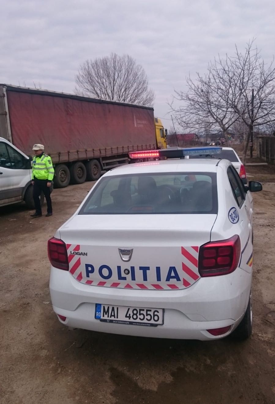 foto truck and bus