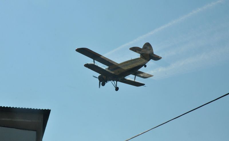 avion